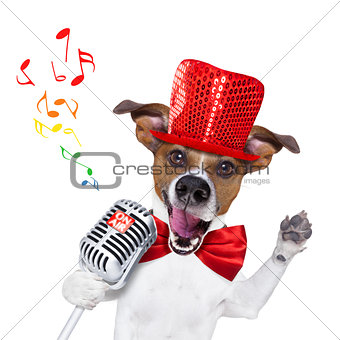 dog singing with microphone