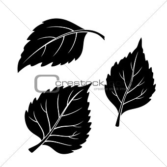 Birch Leaves, Pictogram Set