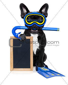 scuba diving dog