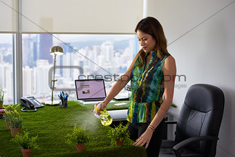 Ecologist Business Woman Watering Plants In Corporate Office