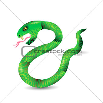Cartoon Green Snakes