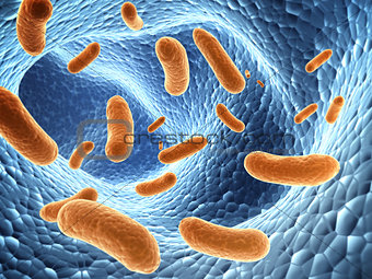 Pathogen bacteria