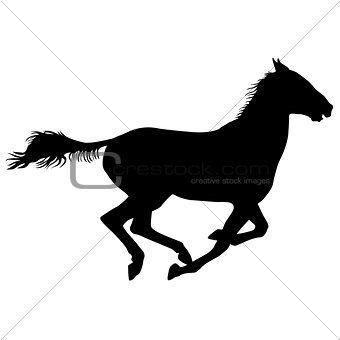  silhouette of black mustang horse vector illustration