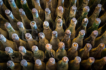Many old wine bottles top view