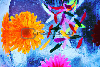 Multicolored flowers frozen into the ice box transparent
