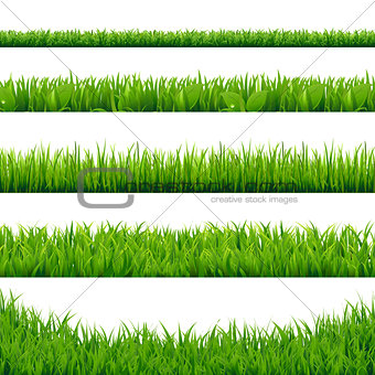 Green Grass Big Set