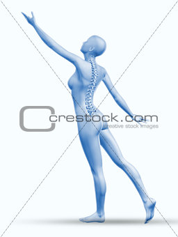 3D female figure reaching with spine exposed