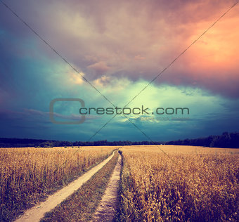 Toned Landscape with Field and Country Road