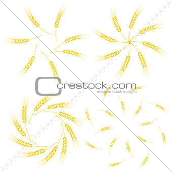 Yellow Ears of Wheat Icon Set