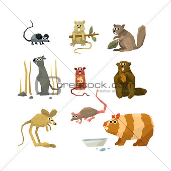 Rodents Vector Collection