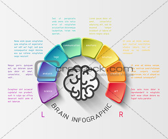 Brain infographic concept