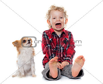 little boy and chihuahua crying