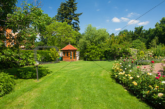 Garden with roses