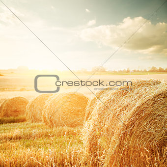 Summer Field with Hay Bales at Sunset
