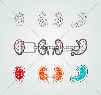 Stylized human organs icons