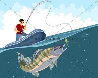 Fisherman catches zander