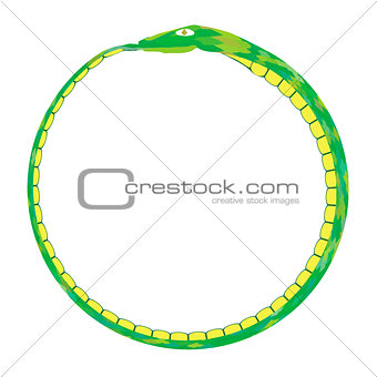 Green Snake Isolated