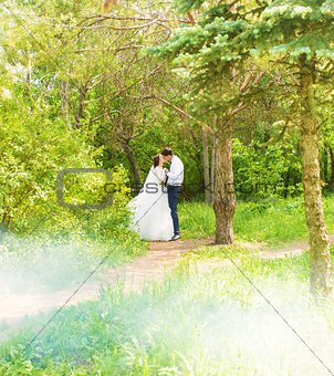 Wedding, Beautiful Romantic Bride and Groom Kissing and Embracing