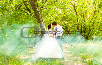 Wedding, Beautiful Romantic Bride and Groom Kissing and Embracing