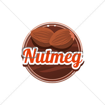 Nutmeg Spice. Vector Illustration.