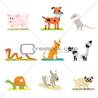 Veterinary pet health care animal medicine icons