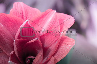 Abstract Art beauty floral background