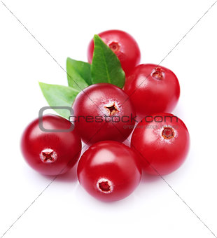 Sweet cranberries with leafs 