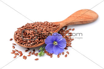 Flax seeds with flowers 