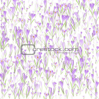 Vector floral seamless pattern