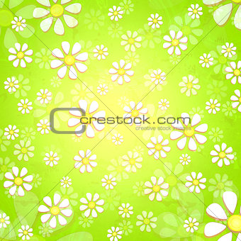 spring white flowers over green background