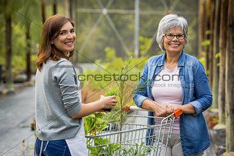 Worker and customer in a green house