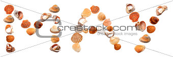 M A Y text composed of seashells