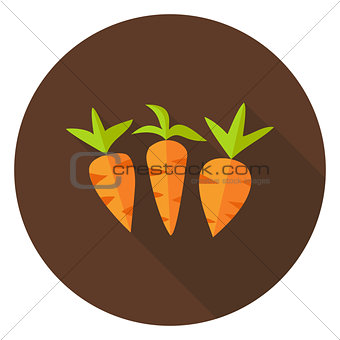 Carrots Vegetables Circle Icon with long Shadow