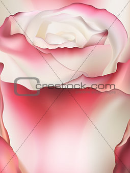 Pink rose macro. EPS 10