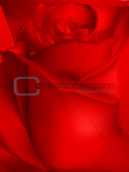 Red rose. EPS 10
