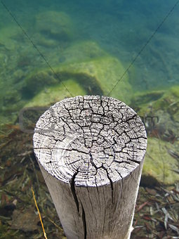 Weathered and cracked wooden post in green mountain lake