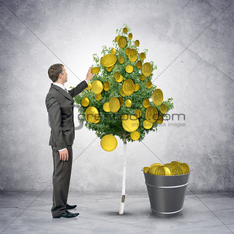 Businessman collecting coins from tree