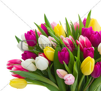 bouquet of  pink, purple and white  tulips