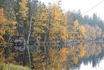 Trees on the bank of lake in the autumn