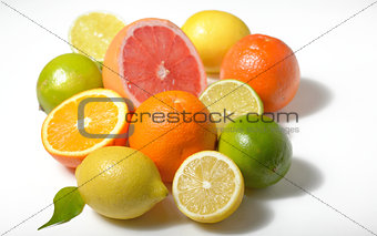 Citrus fruits  isolated on white