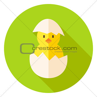 Hatched Chicken in Eggshell Circle Icon