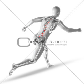 3D male medical figure running with spine discs highlighted