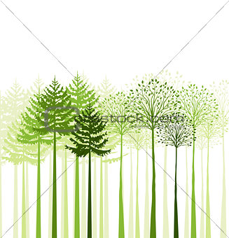 Vector mixed forest