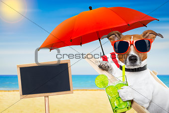 summer cokctail dog