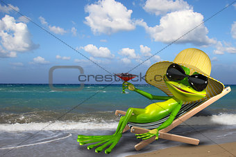 Frog in a deckchair on the beach