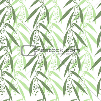 Seamless pattern branches of eucalyptus. Vector illustration.  Green floral background