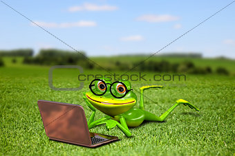 Frog with a laptop on the grass