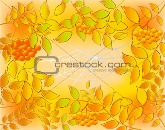 Background of autumn leaves, rowan and web with dew drops. EPS10 vector illustration