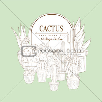 Vintage Sketch With Cactus