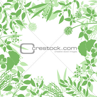 Green square background with collection of plants. Silhouette of herbs branches isolated on white background